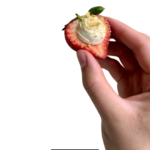 Copycat Charlotte Russe Cupcake Recipe | CakesByKristi